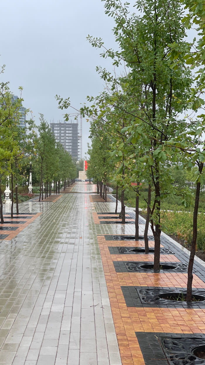 Приствольная решетка для дерева ZKING CRUST 1.2х1.2м Черная в Раменском фото