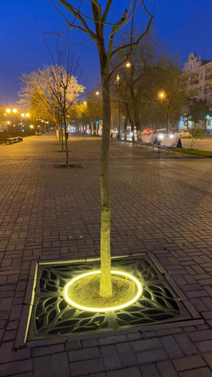 Приствольная решетка для дерева ZKING CRUST 1.2х1.2м Черная в Раменском фото